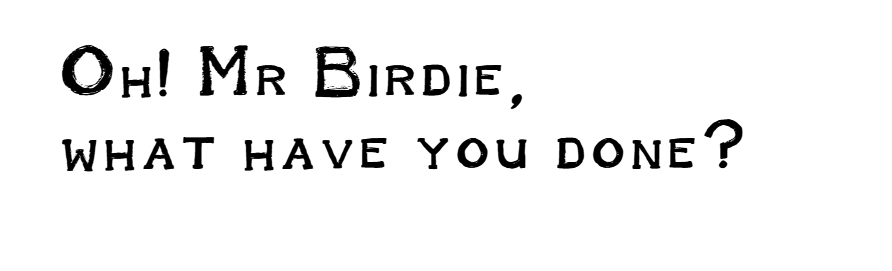 Test reading Oh! Mr Birdie, What have you done?
